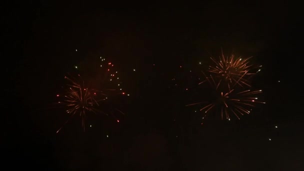 Los Fuegos Artificiales Celebración Nudo — Vídeos de Stock