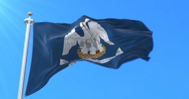 Louisiana state, Amerika Birleşik Devletleri - bölge bayrağı döngü