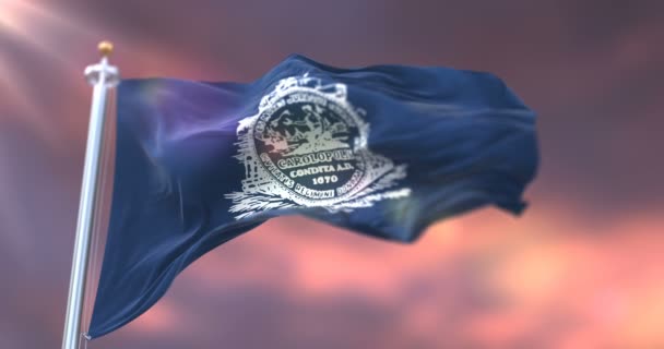 Флаг Чарльстона Город Южная Каролина Соединенных Штатах Америки Петля — стоковое видео