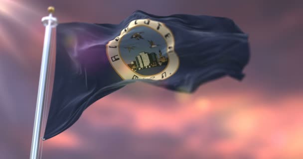 米国ミネソタ州の日没時のロチェスターの旗 ループ — ストック動画