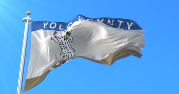 Flagge Von Yolo County Kalifornien Region Der Vereinigten Staaten Schleife — Stockvideo