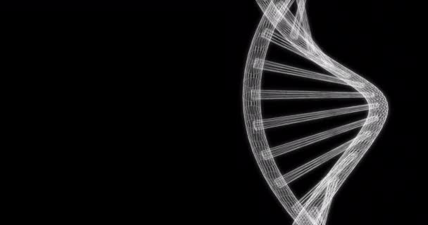 Hologram Screen Dna Chain Strand Gyrating Loop — Stock Video