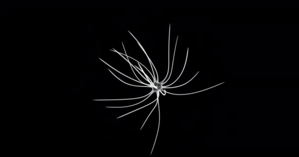 Layar Hologram Dari Sebuah Sel Neuron Organik Loop — Stok Video