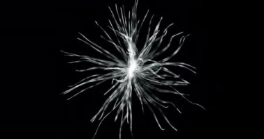 Organik hücre döngüsünün 3 boyutlu hologram ekranı