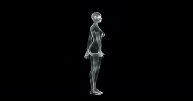 Vitruvian pozisyonunda çıplak bir kadının 3 boyutlu hologram ekranı - döngü
