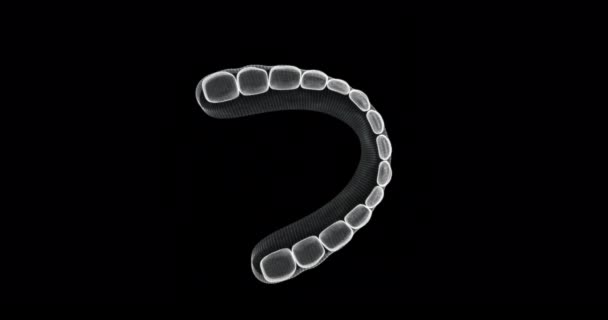 Hologram Skärm Mänskliga Tänder Loop — Stockvideo