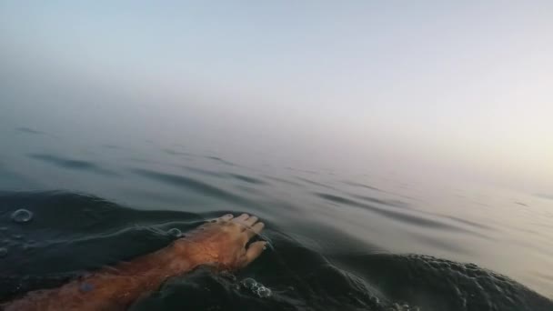 Homem Começando Nadar Praia Pôr Sol Lento Vista Primeira Pessoa — Vídeo de Stock