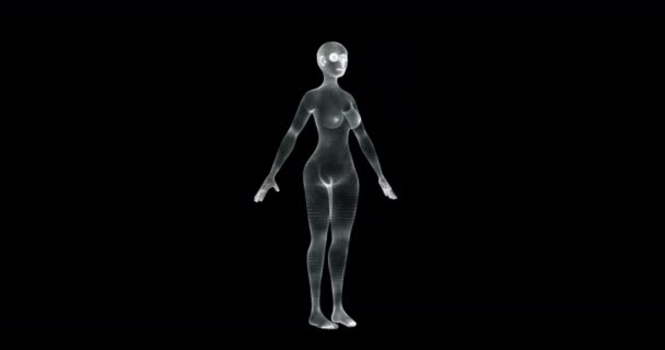 Hologram Scherm Van Vrouw Naakt Vitruvian Positie Lus — Stockvideo