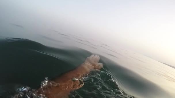 Beginnen Zwemmen Het Strand Bij Zonsondergang Langzaam Eerste Persoon Uitzicht — Stockvideo