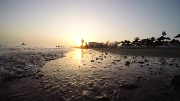 Kleine Golven Die Bij Zonsondergang Naar Het Zand Aan Kust — Stockvideo