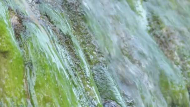 Agua Natural Que Cae Roca Montaña Manantial — Vídeos de Stock