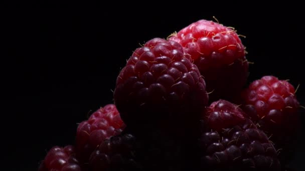 黒の背景と親密な光を持つ赤いラズベリーの果実のギザギザ — ストック動画