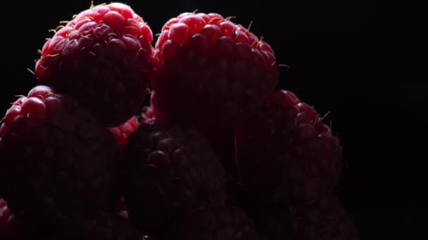 Mountain Red Raspberries Fruit Gyrating Black Background — 비디오