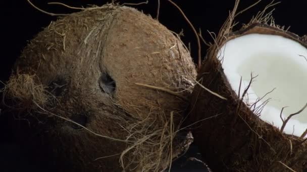 Kokosnüsse Tropische Früchte Kreiselnd Mit Schwarzem Hintergrund — Stockvideo