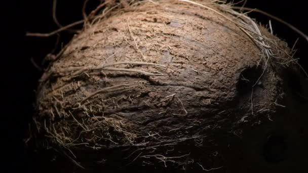 Kokosnussfrüchte Tropischen Kreisel Mit Schwarzem Hintergrund — Stockvideo