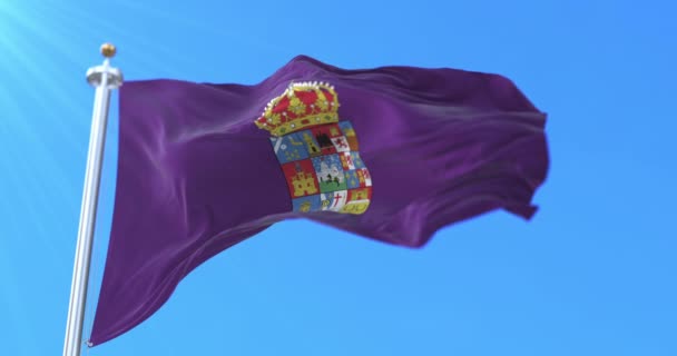 Bandera Provincia Española Guadalajara Castilla Mancha España Loop — Vídeos de Stock