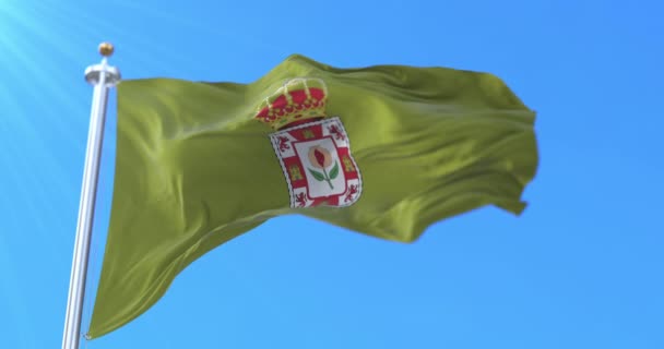 スペイン アンダルシア州のスペイン領グラナダの旗 Loop — ストック動画