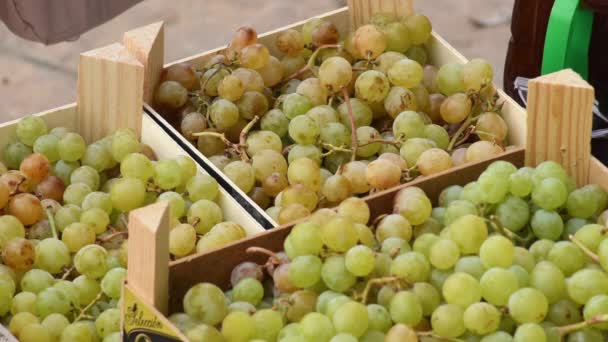市场上传统木箱中的麝香葡萄 — 图库视频影像