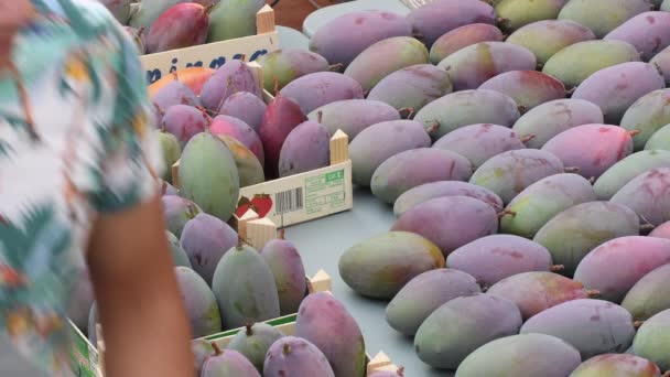 屋外市場での木の箱のマンゴーの果物伝統的な — ストック動画