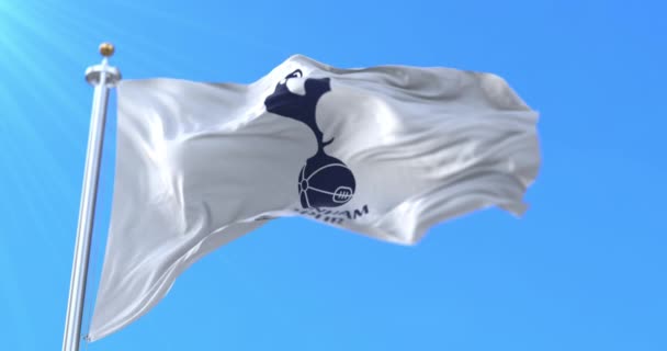 Tottenham Hotspur Flagga England Vinka Ögla — Stockvideo