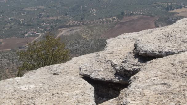 Fosil Ammonit Torcal Antequera Spanya — Stok video