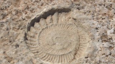 Tarih öncesi bir ammonit olan Torcal de Antequera 'nın ayak izleri, İspanya