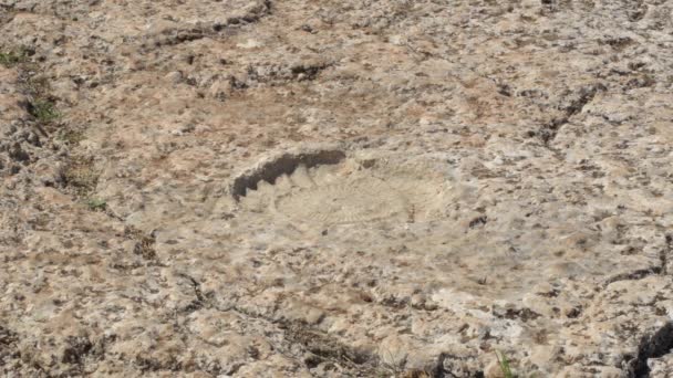西班牙托尔卡 安泰克拉岩石中的化石硫铁矿的脚印 — 图库视频影像
