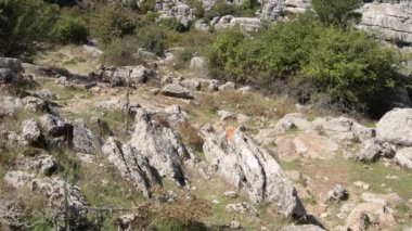 İspanya, Torcal de Antequera 'da mavi gökyüzü olan karst kayaları manzarası