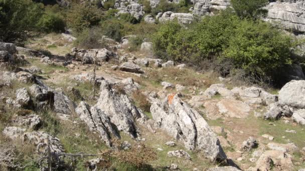 Пейзаж Карстовых Скал Голубым Небом Torcal Antequera Испания Tilt — стоковое видео