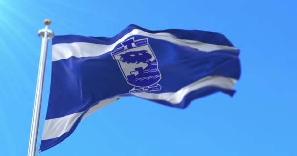 Vlag Van Stad Holon Israël Loop — Stockvideo