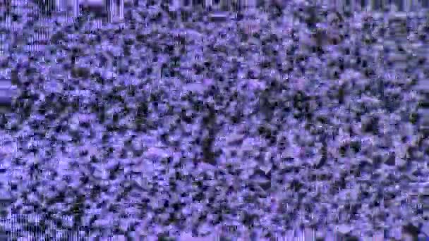 Bad Video Ruido Parpadeando Una Vieja Televisión Analógica — Vídeo de stock