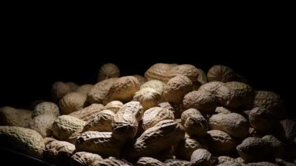 Peanuts Legume Food Gyrating — Stock Video