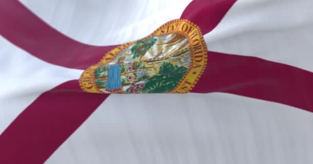 Bandiera Dello Stato Della Florida Sventola Regione Degli Stati Uniti — Video Stock