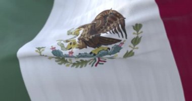 Meksika bayrağı rüzgarda sallanıyor yavaşça, döngü içinde