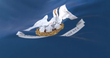 Louisiana bayrağı, Amerika Birleşik Devletleri bölgesi. Döngü