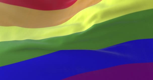 Regnbågsflaggan Hbt Stolthet Flaggan Eller Gay Stolthet Flaggan Viftar Ögla — Stockvideo