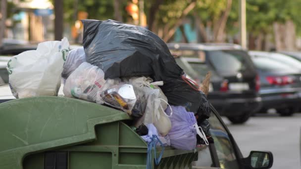 Contenedor Urbano Lleno Bolsas Basura Una Ciudad — Vídeo de stock