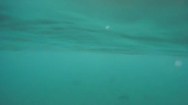 Deniz feneri. Gün batımında. Bir yaz günü.