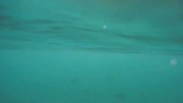 穏やかな波が半分水中で夏の日の日没時に海からの灯台 — ストック動画