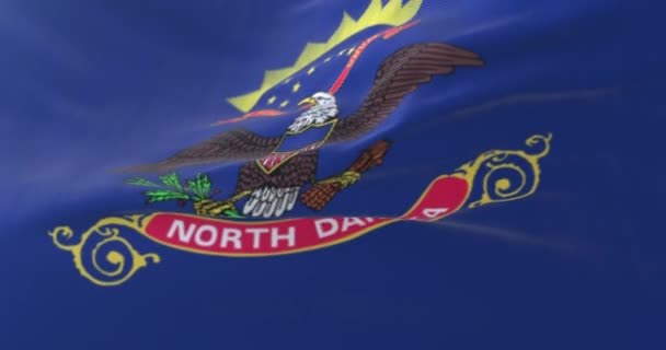 Vlag Van Amerikaanse Staat North Dakota Regio Van Verenigde Staten — Stockvideo