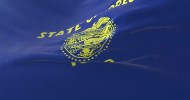 Vlag Van Amerikaanse Staat Oregon Regio Van Verenigde Staten Lijn — Stockvideo