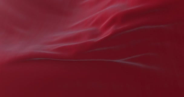 Bandera Roja Ondeando Viento Lento Bucle — Vídeo de stock