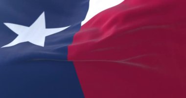 Amerika Birleşik Devletleri 'nin Teksas eyaleti bayrağı. Döngü