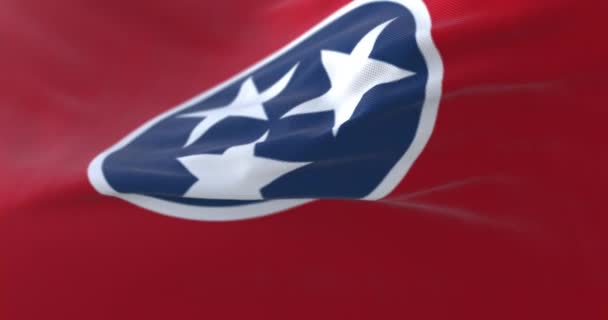 Flagga För Den Amerikanska Delstaten Tennessee Region Usa Ögla — Stockvideo
