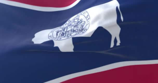 Vlag Van Wyoming Staat Verenigde Staten Van Amerika Lijn — Stockvideo