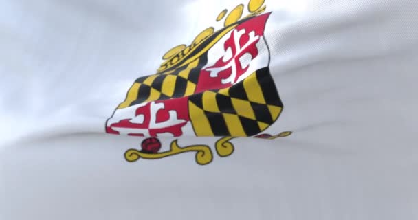 Vlajka Hrabství Anne Arundel Stát Maryland Spojené Státy Americké Loop — Stock video