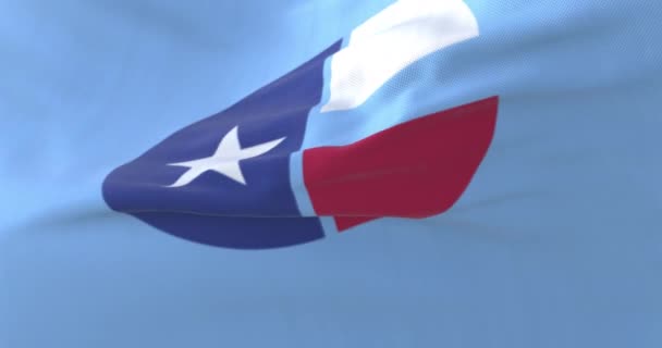 Vlag Van Collin County Texas Verenigde Staten Loop — Stockvideo