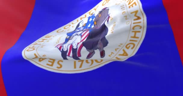 Wayne County Vlag Staat Michigan Verenigde Staten Van Amerika Loop — Stockvideo