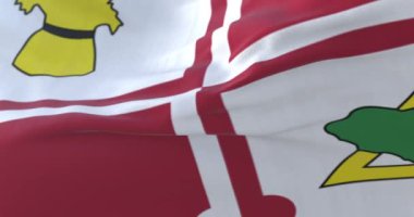 Howard ilçesi bayrağı, Maryland eyaleti, Amerika Birleşik Devletleri - döngü