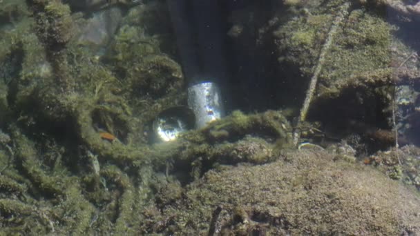 苏打水可以在海底 — 图库视频影像